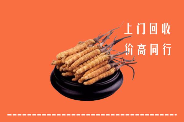 高价求购：铁锋区回收散虫草